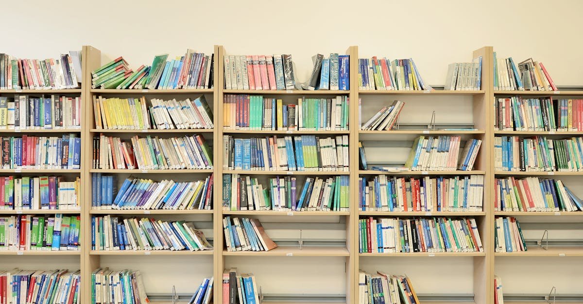 Regał, który przetrwa każdą sagę: przewodnik po wyborze półek do domowej biblioteki