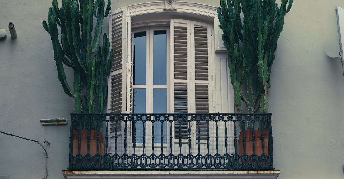 Mały balkon, wielkie możliwości: zamień blokową przestrzeń w zieloną oazę